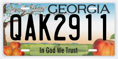 GA license plate QAK2911