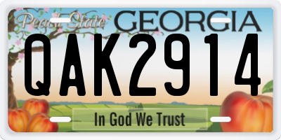 GA license plate QAK2914