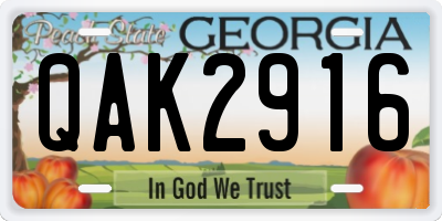 GA license plate QAK2916