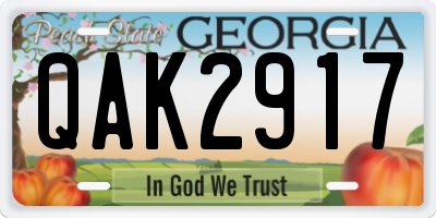 GA license plate QAK2917