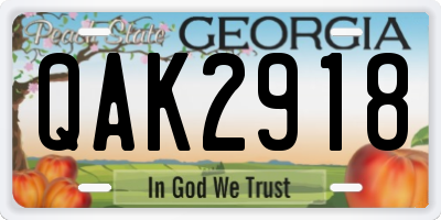 GA license plate QAK2918