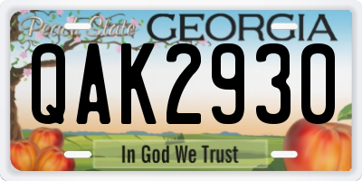 GA license plate QAK2930