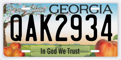 GA license plate QAK2934