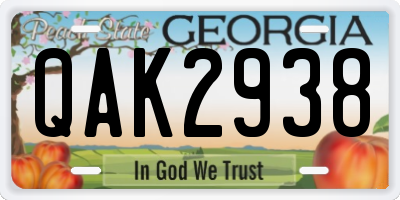 GA license plate QAK2938