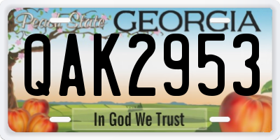 GA license plate QAK2953