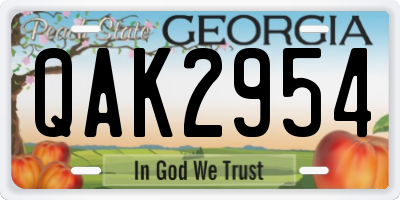GA license plate QAK2954