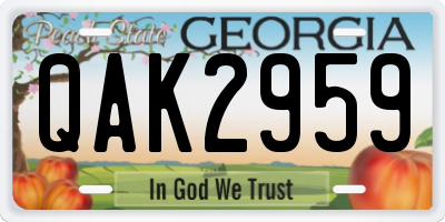 GA license plate QAK2959