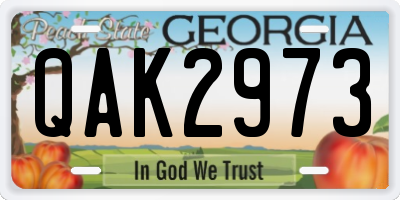 GA license plate QAK2973
