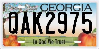 GA license plate QAK2975