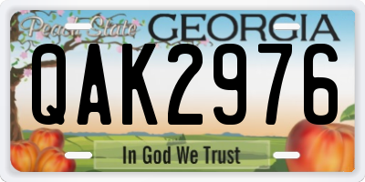GA license plate QAK2976