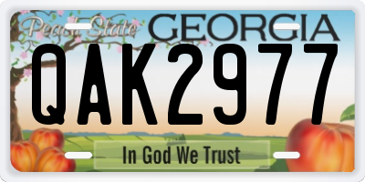 GA license plate QAK2977