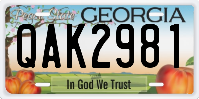 GA license plate QAK2981