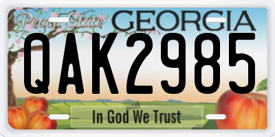 GA license plate QAK2985