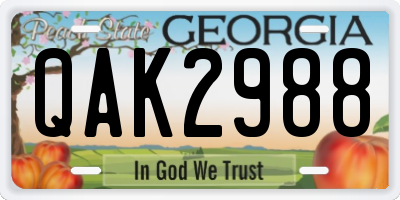 GA license plate QAK2988