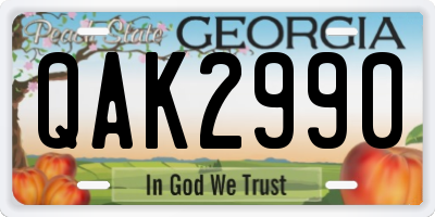 GA license plate QAK2990