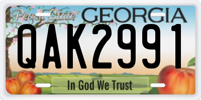 GA license plate QAK2991