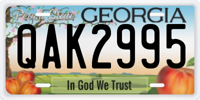 GA license plate QAK2995