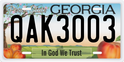 GA license plate QAK3003