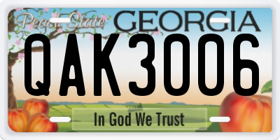 GA license plate QAK3006