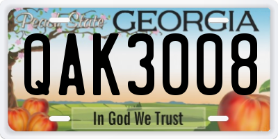 GA license plate QAK3008