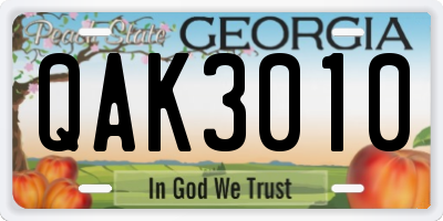 GA license plate QAK3010