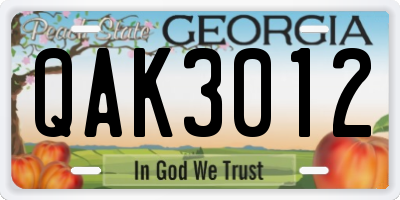 GA license plate QAK3012