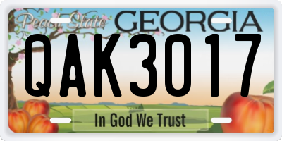 GA license plate QAK3017