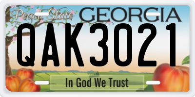 GA license plate QAK3021