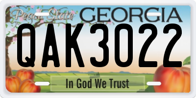 GA license plate QAK3022
