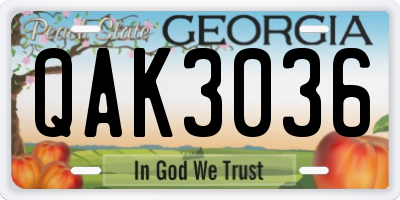 GA license plate QAK3036