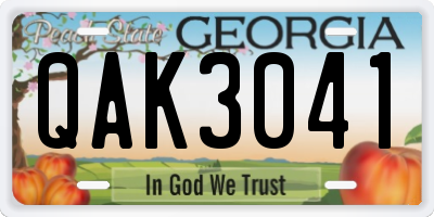 GA license plate QAK3041