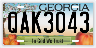 GA license plate QAK3043