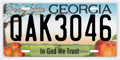 GA license plate QAK3046