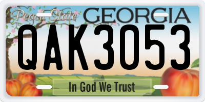 GA license plate QAK3053
