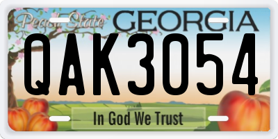 GA license plate QAK3054