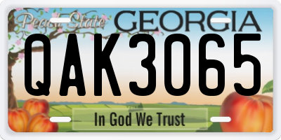 GA license plate QAK3065