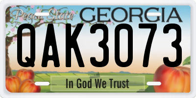 GA license plate QAK3073