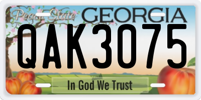 GA license plate QAK3075
