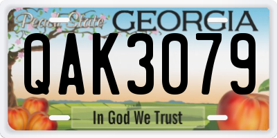 GA license plate QAK3079