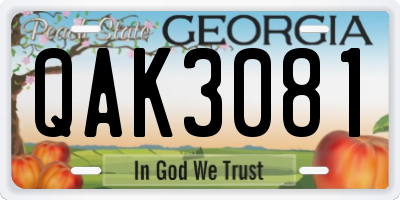 GA license plate QAK3081