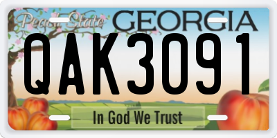 GA license plate QAK3091
