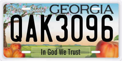 GA license plate QAK3096