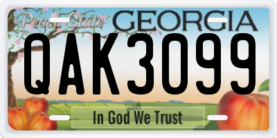 GA license plate QAK3099