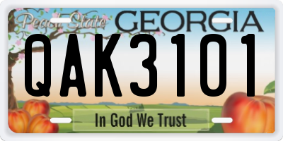 GA license plate QAK3101
