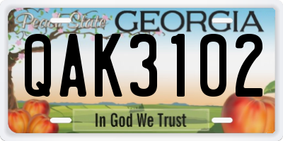 GA license plate QAK3102