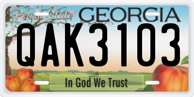 GA license plate QAK3103