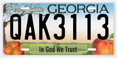 GA license plate QAK3113