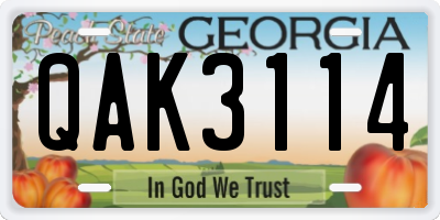 GA license plate QAK3114