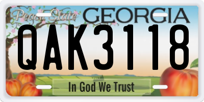 GA license plate QAK3118