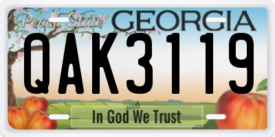 GA license plate QAK3119